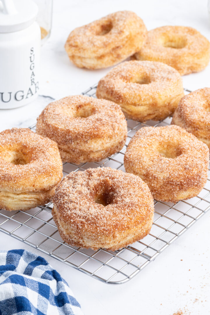 Air Fryer Canned Biscuit Donuts Recipe Boy