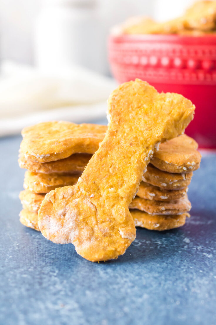 Sweet Potato Dog Biscuits Recipe Boy