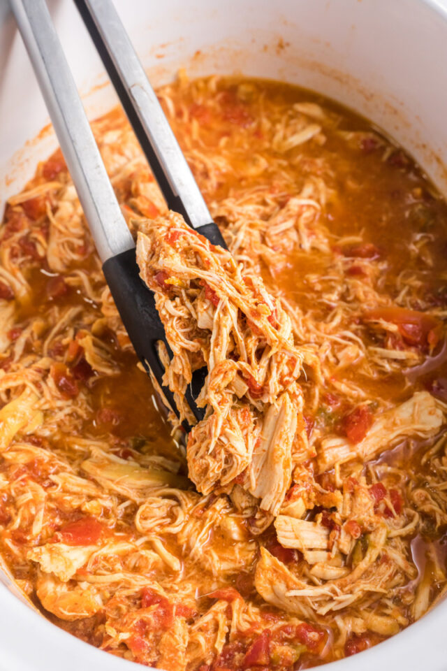 Slow Cooker Mexican Chicken Recipe Boy 0815