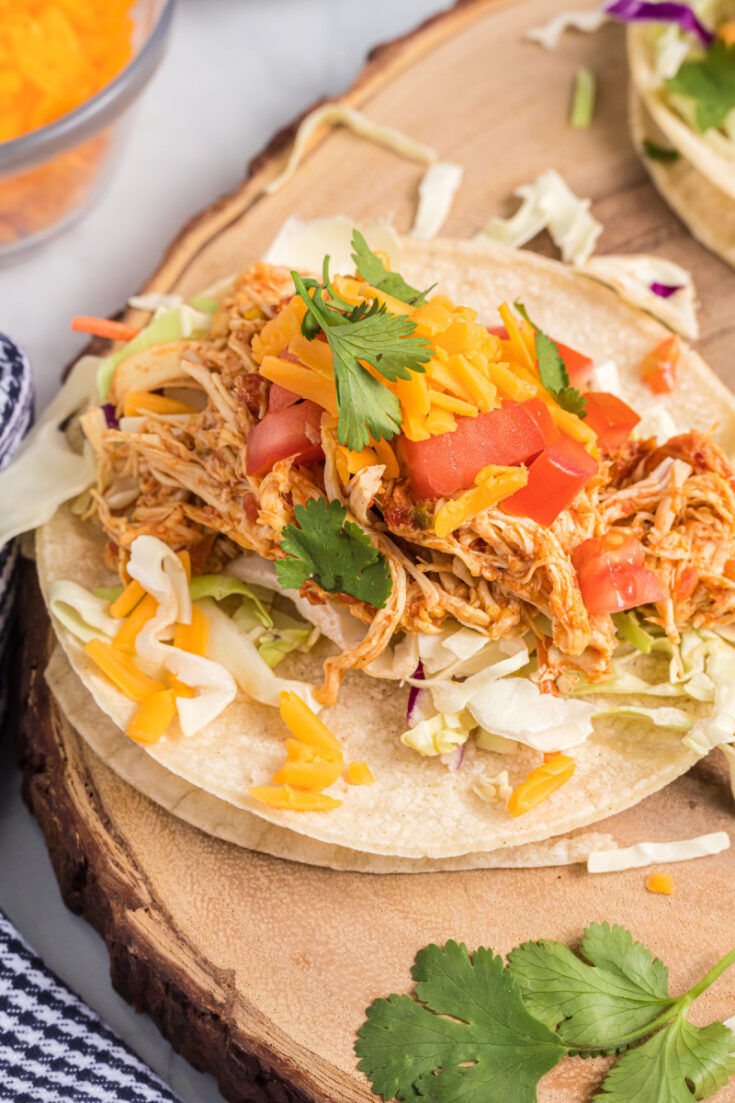 Slow Cooker Mexican Chicken - Recipe Boy