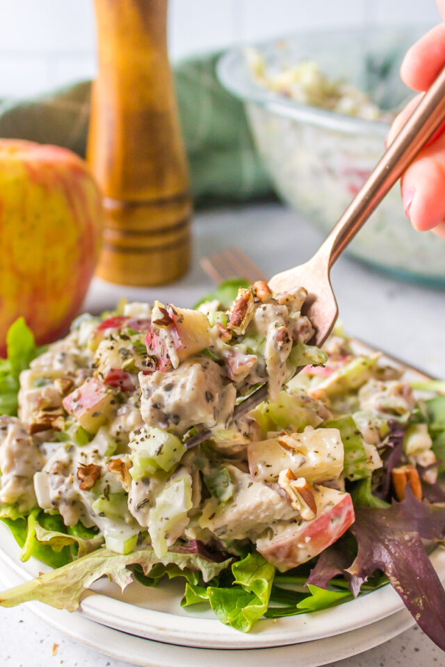 Chicken Apple Salad - Recipe Boy