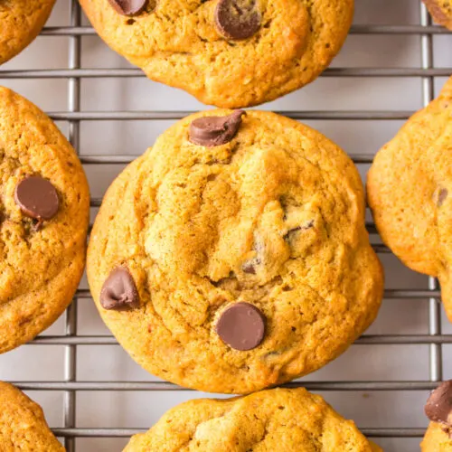 pumpkin chocolate chip cookies on rack