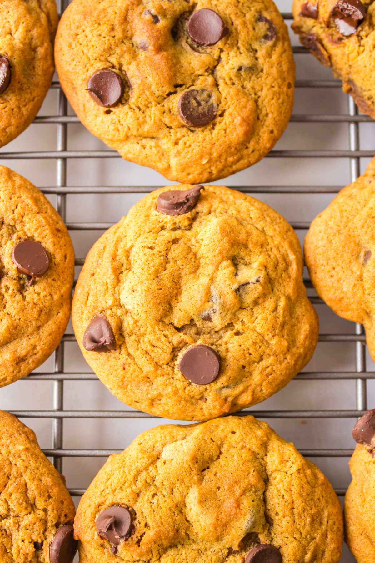 pumpkin chocolate chip cookies on rack