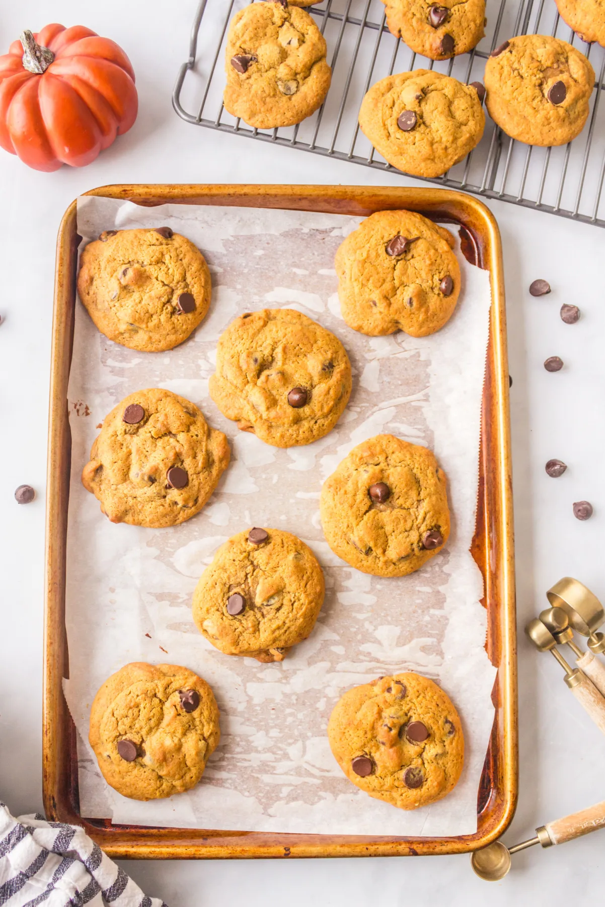 pumpkin chocolate chip cookies on baking sheet