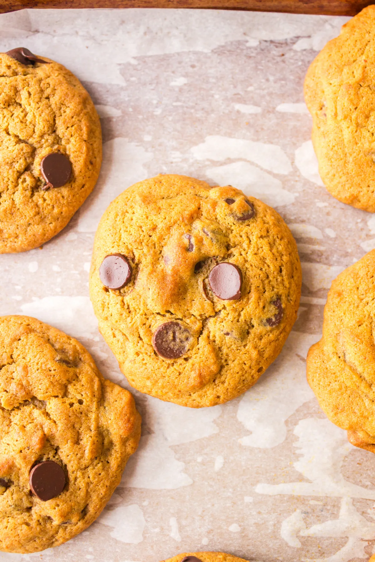 pumpkin chocolate chip cookies close up