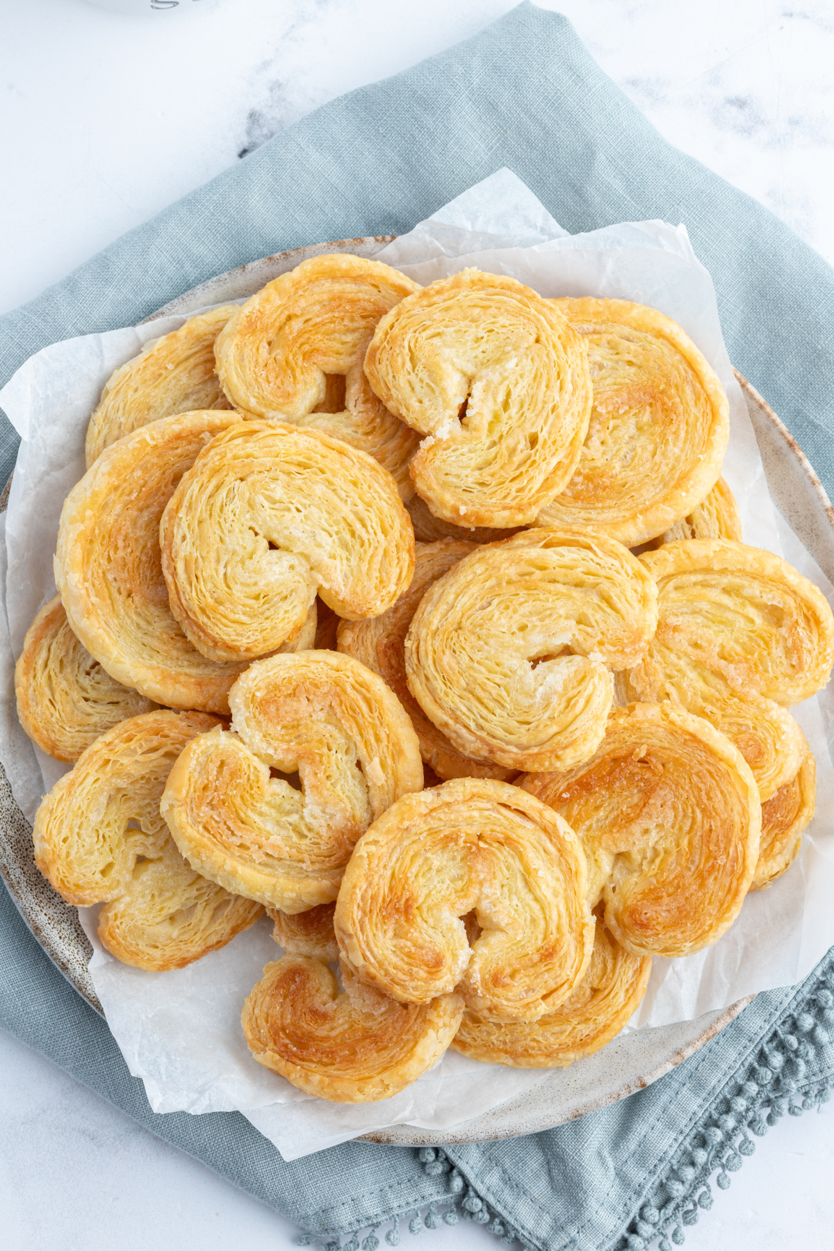 palmiers in a basket