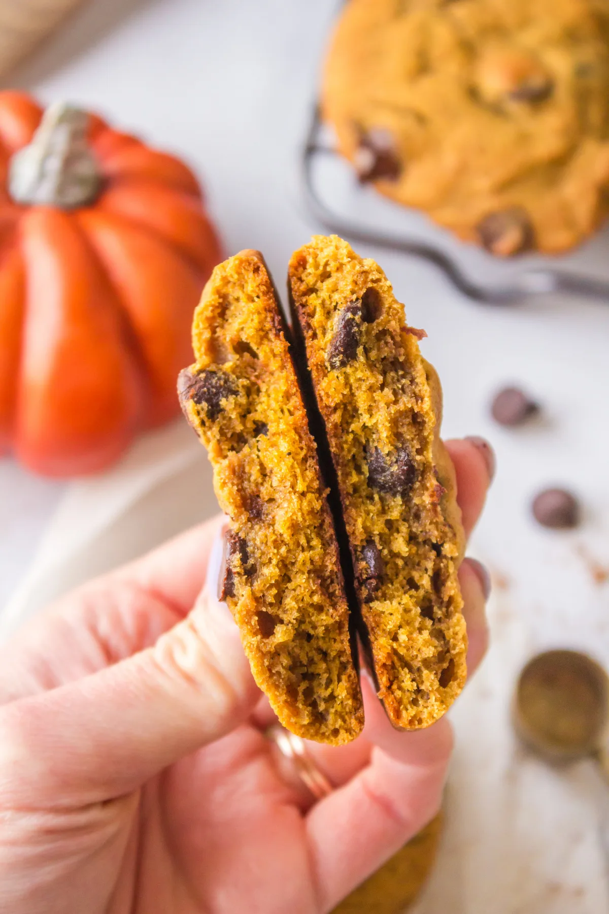 pumpkin chocolate chip cookie broken in half