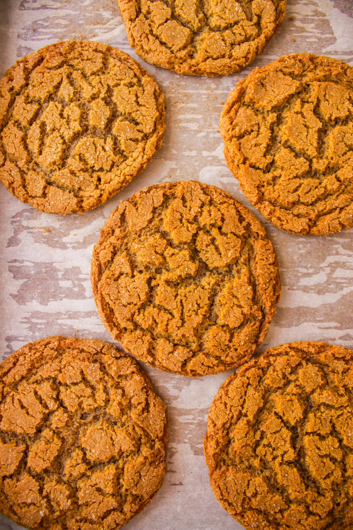 crackle top molasses cookies on baking sheet