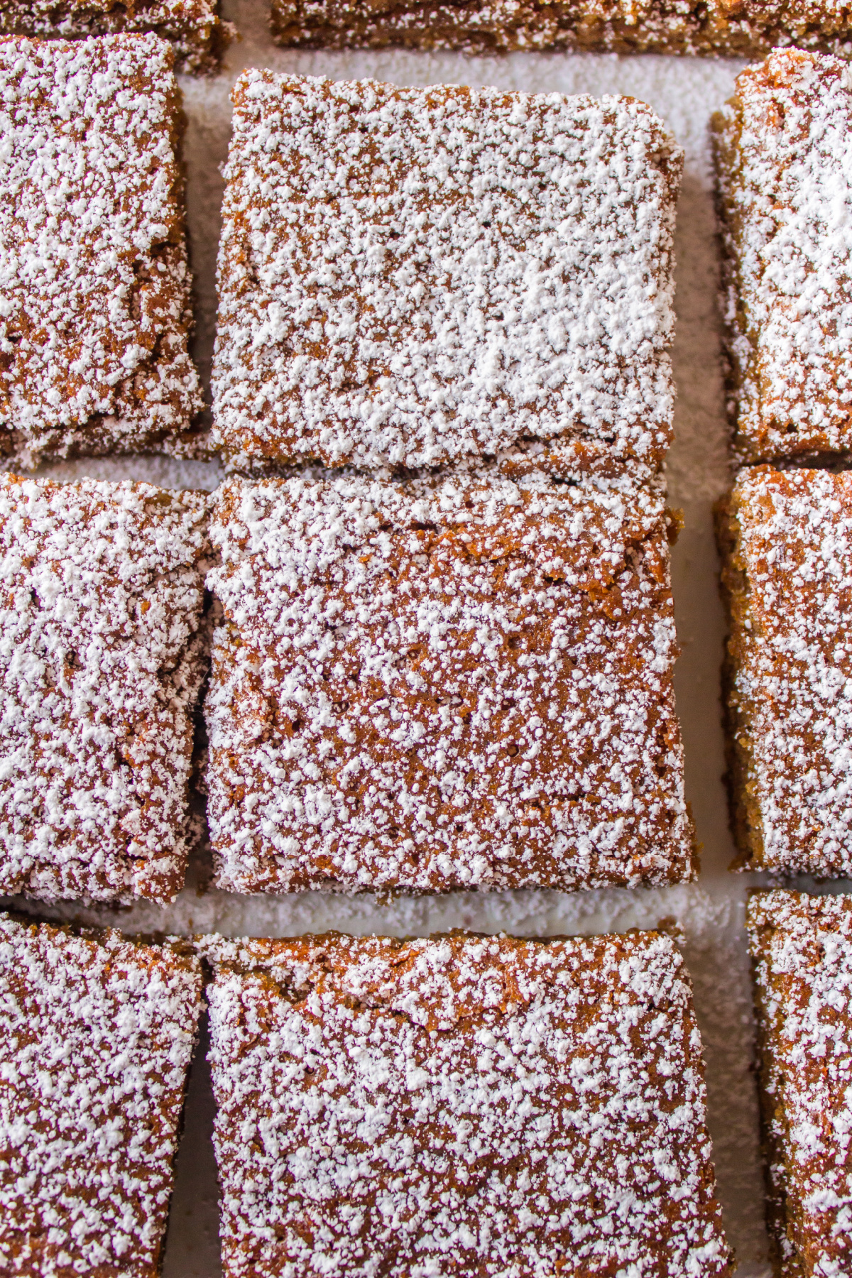 overhead shot gingerbread blondies