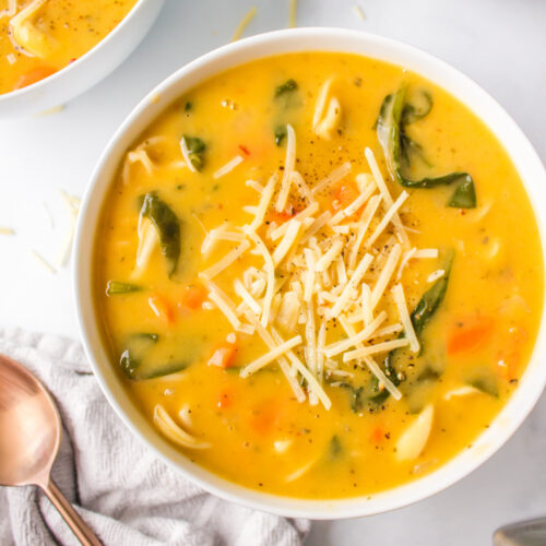 overhead shot of cheese tortellini soup