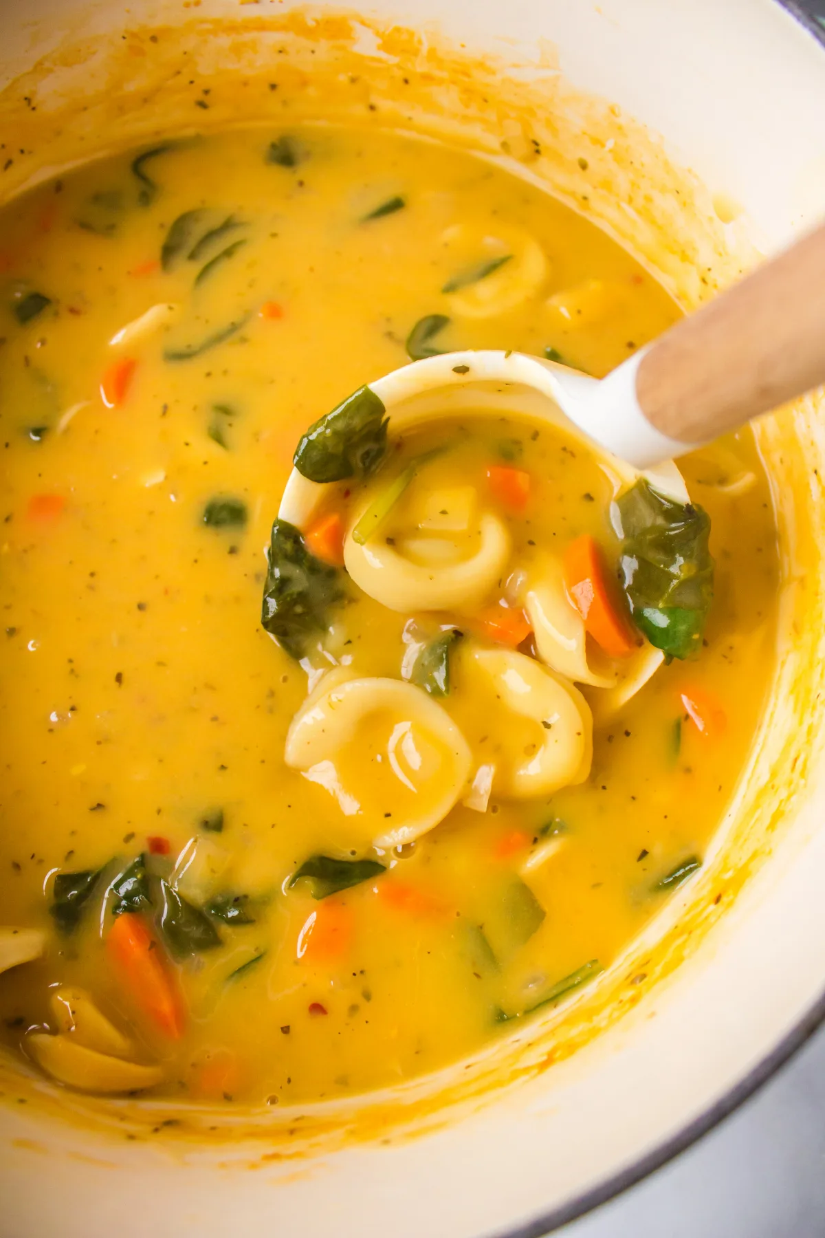 spoon in pot of cheese tortellini soup